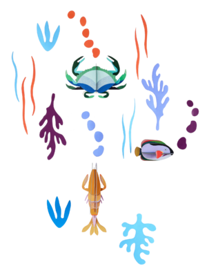 Ocean's Tale