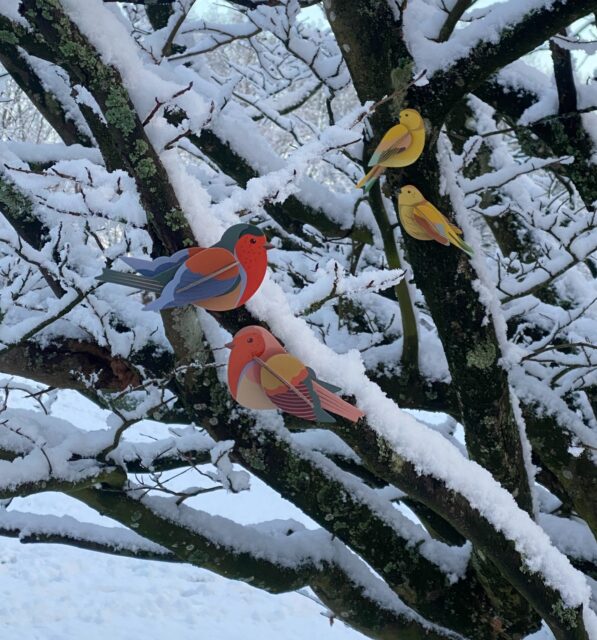 A snowy scenery for our garden birds and Tree of Life ☃️