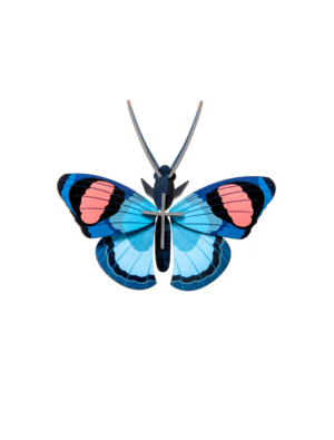 Peacock Butterfly