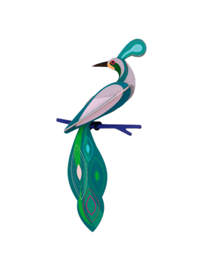Paradise Bird, Fiji